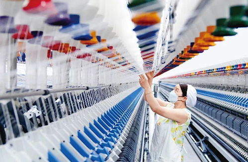 紡織業(yè) 中國經濟新優(yōu)勢的隱形冠軍